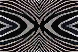 Ковролин ForboFlotex Vision Image 000402 Zebra фото  | FLOORDEALER
